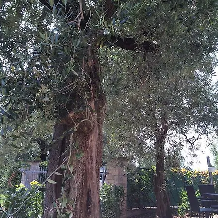 Casa Rocca * Arco